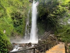 -莫里热带雨林景区