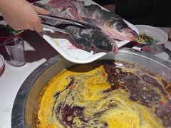 -蜀滋香鲜鱼美蛙火锅(339店)