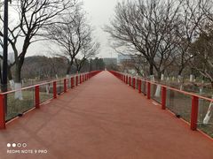 -青枫公园