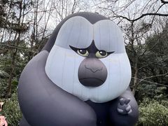 -红山森林动物园