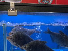 -盒马鲜生(王府广场店)