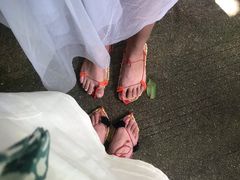 -呀诺达热带雨林