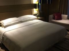 -扬州绿地铂骊酒店