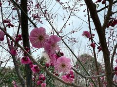 -太白山御龙湾温泉