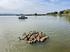 -野鸭湖国家湿地公园