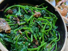 番薯叶-和记菜馆