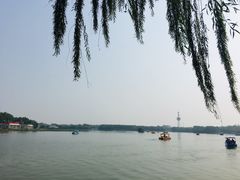 -大兴滨河森林公园