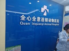 -全心全意连锁动物医院·微创中心·内科急重症·心脏专科(丰管路店)