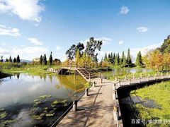 -捞渔河湿地公园