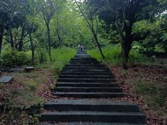 -东莞市大岭山森林公园