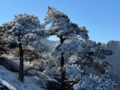 -黄山风景区