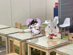 -美吉姆国际儿童发展中心(世茂中心)
