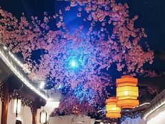 -荷塘秋月·本帮江浙菜(国权路店)