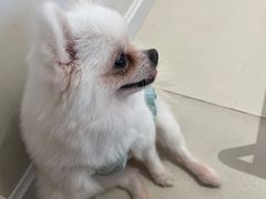 -怪兽屋·羊驼·猫咖·狗咖(俊华广场店)