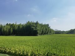 -良渚古城遗址公园