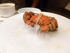 酒酿蟹-觀芷隐轩