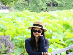 -高子水居