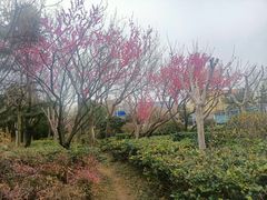 -山东外贸职业学院