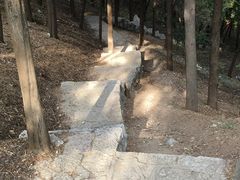 -原山国家森林公园