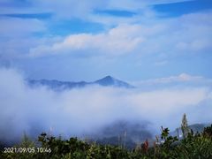 -武陵山森林公园