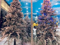 -世界之窗阿尔卑斯冰雪世界