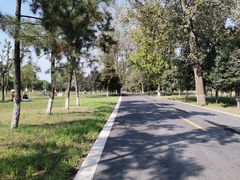 -汉长安城未央宫国家考古遗址公园