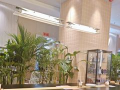 -必胜客(桐梓坡店)