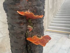 -广州市紫泥堂文化创意园景区
