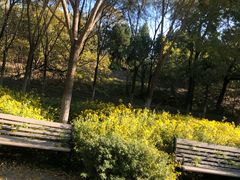 -永定河休闲森林公园