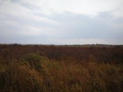 -御道口草原森林风景区