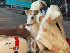 -宝泉铜锅·涮羊肉(解放东路店)