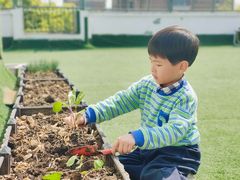 -鸿意星城幼儿园