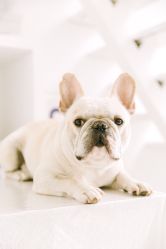 -ZOO KIDS象集摄影工作室(西城公馆店)