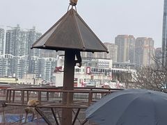 -昆明动物园