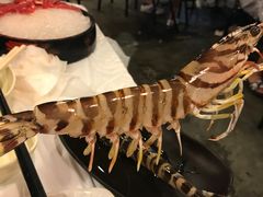 -鲜入围煮花胶鸡海鲜火锅