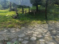 -沈阳森林动物园