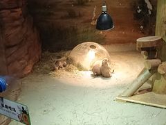 -正佳雨林生态植物园
