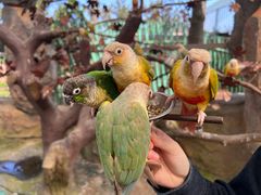 -西霞口神雕山野生动物世界