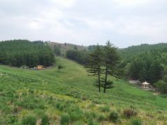 -驼梁风景区