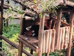 -昆明动物园