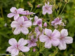 -东关历史文化旅游区-东门遗址