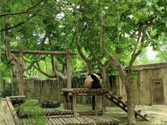 -上海野生动物园