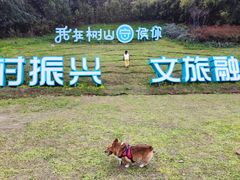 -树山生态村