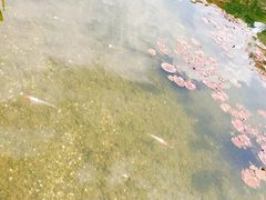 -晋江五店市传统文化旅游区