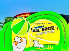 -东莞银行篮球中心