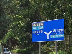 -东莞市大岭山森林公园