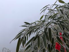 -终南山南五台景区