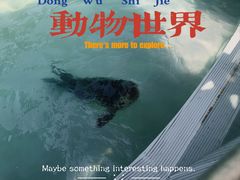 -成都动物园