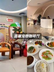 -侒悦缦月子中心·疗愈园区(龙岗店)