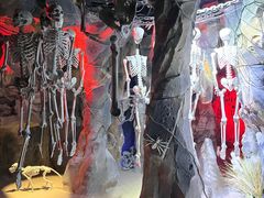 -西安电影制片厂